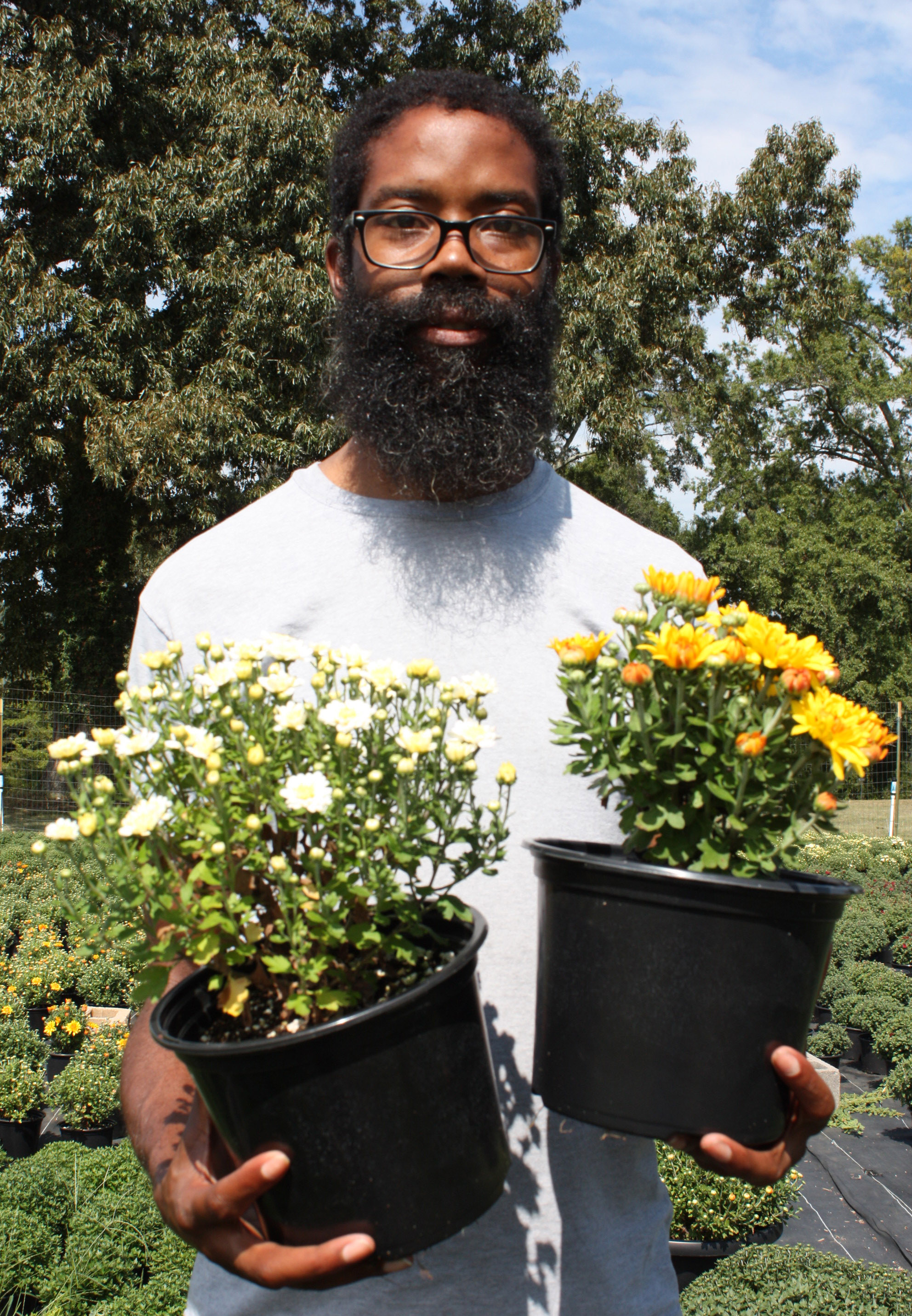 Horticulture student Spencer Daniel displays two colors of mums that will be for sale at GNTC’s Fall Mum Sale, Sept. 18-21.