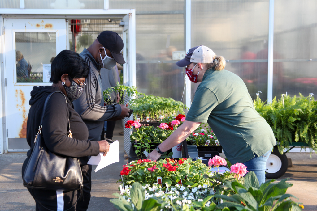 Alma and David Morgan (standing on the left) purchase flowers and vegetables from GNTC Horticulture student Amy Crawford (right) during GNTC’s Spring Plant Sale on Tuesday, April 6.